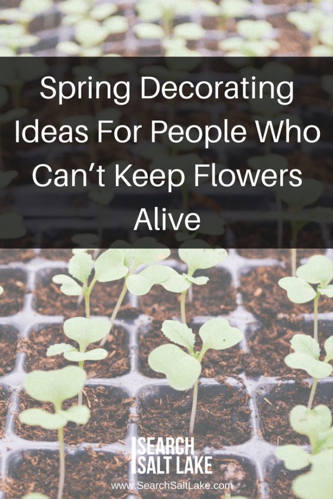 Spring Decorating Ideas For People Who Can’t Keep Flowers Alive (1)